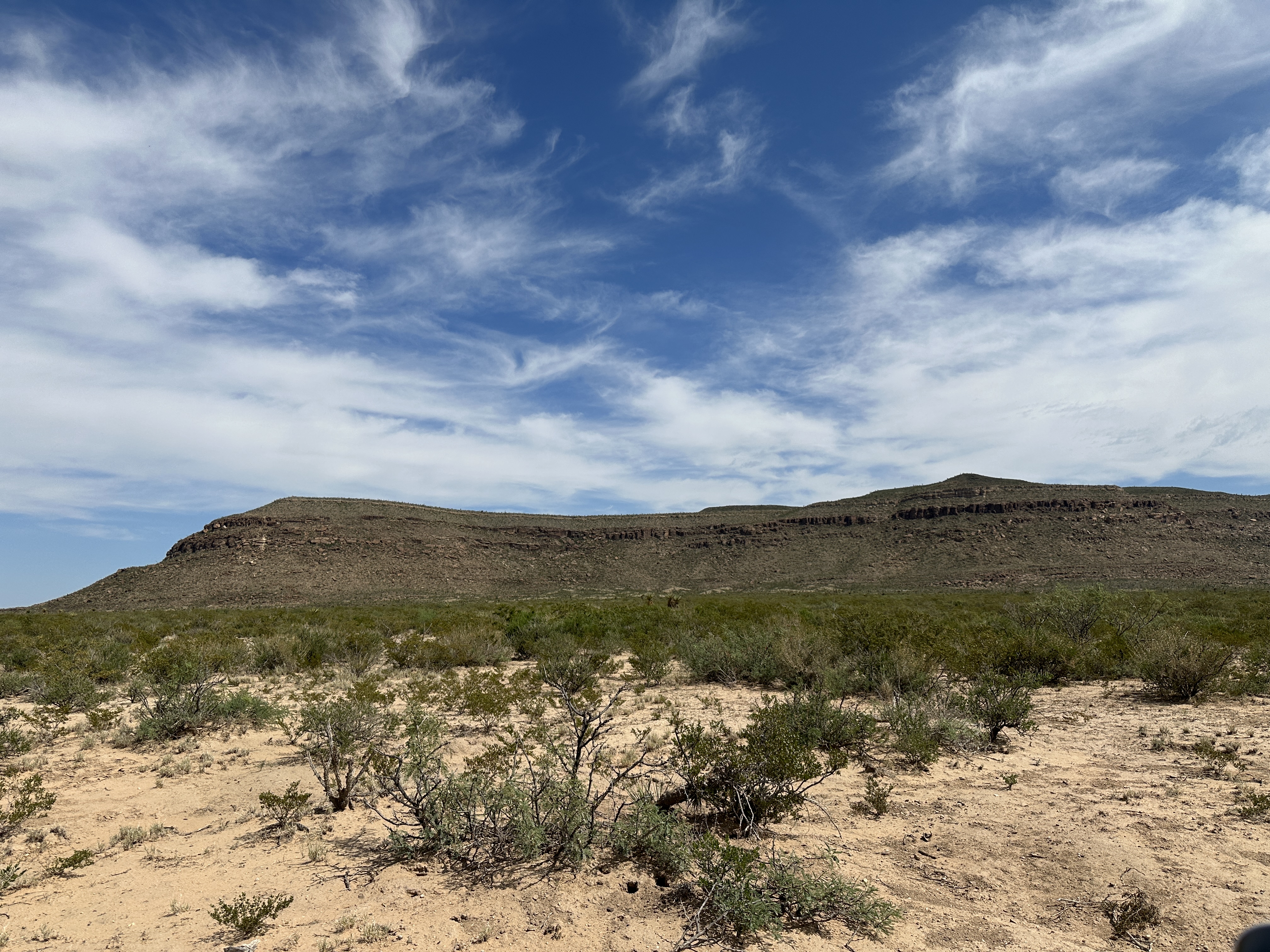 West Texas Landscape