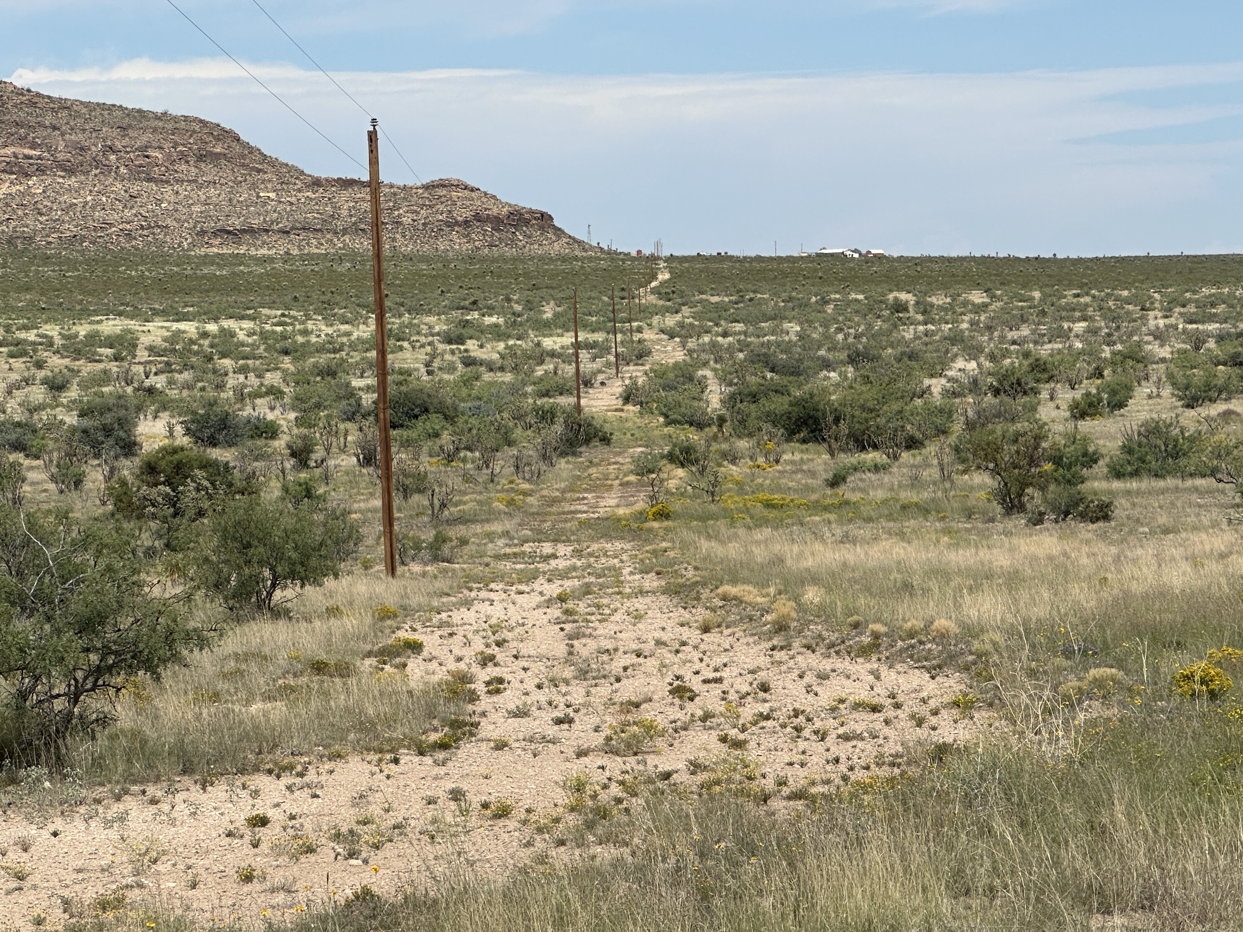 Desert Landscape with Power